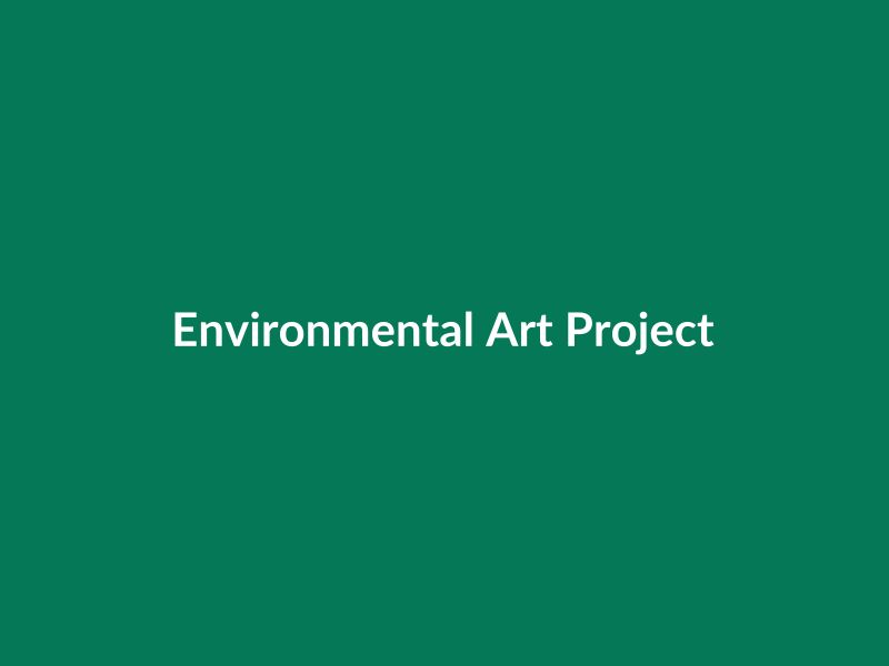 Environmental Art Project