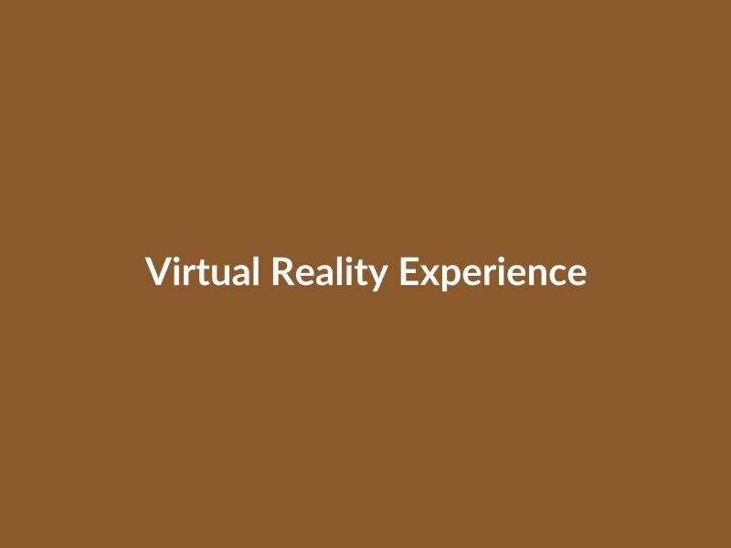 Virtual Reality Experience